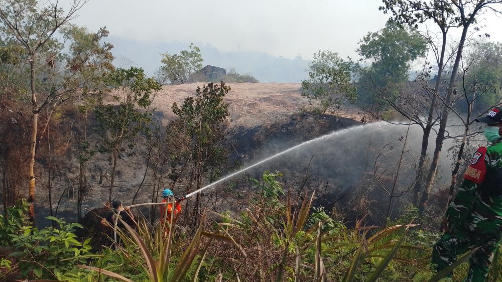Karhutla Bontang Lestari Meluas ke 15 Hektare, Api Merambat Mendekati Kawasan PT Badak LNG