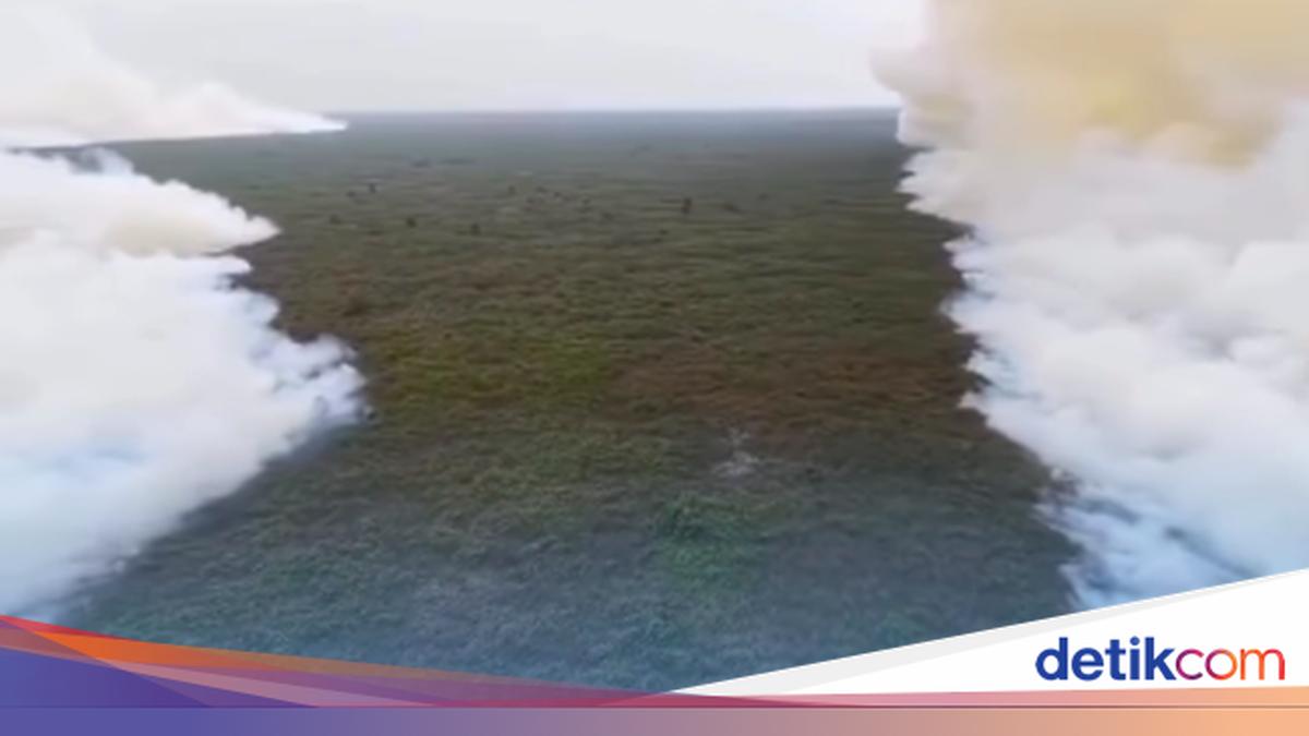 Pemprov Kalteng Sebut Karhutla Belum Penuhi Indikator Bencana Nasional, 7.098 Kasus ISPA Tercatat di Palangka Raya