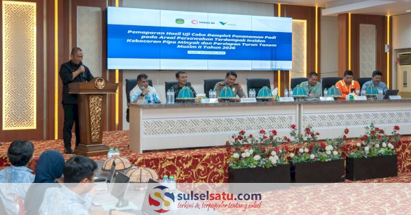 Padi di Lahan Terdampak Tumpahan MFO Towuti Luwu Timur Dinyatakan Aman Dikonsumsi, Petani Siap Tanam Lagi