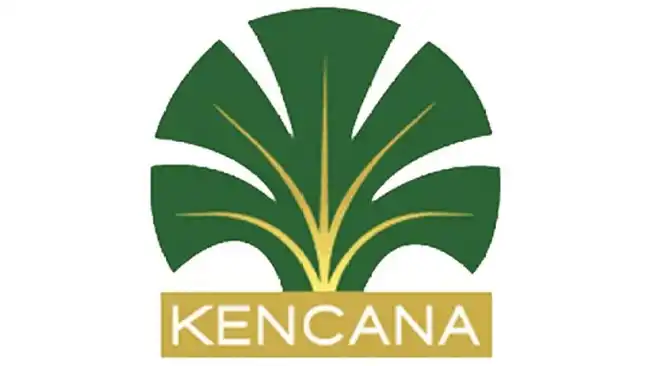 Kebakaran di Konsesi Kencana Agri Kalimantan Utara Diselidiki, SGX Minta Klarifikasi Kabut Asap