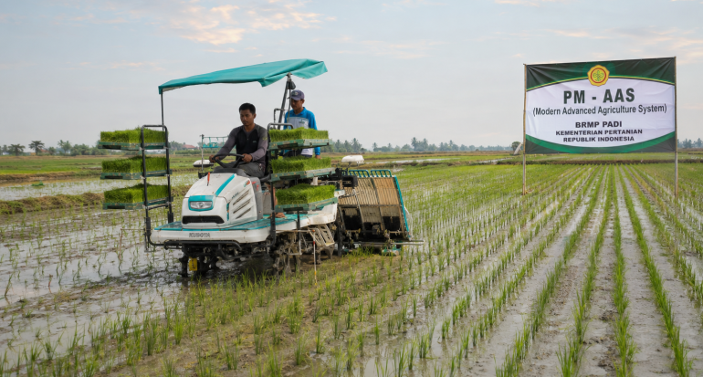 Sulsel Tembus 13,1 Ton per Hektar, Produktivitas Padi 10 Provinsi Melonjak Berkat PM-AAS