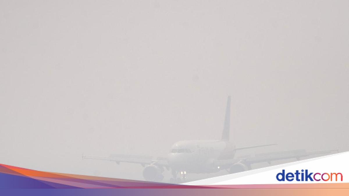 Karhutla Terus Meluas, 2.458 Penerbangan Dalam Negeri Terganggu Sejak Agustus 2026