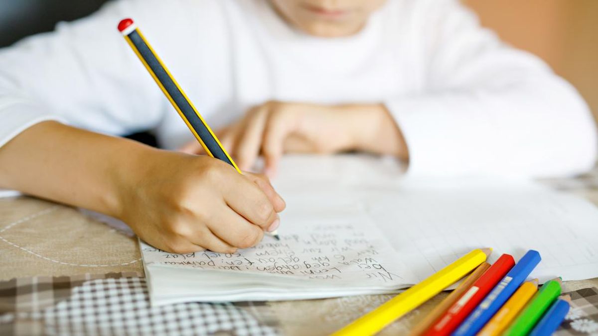 Anak 3 Tahun Belum Sekolah: Stimulasi Penting di Rumah