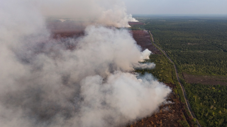 Walhi Kalteng Sebut Pemerintah Gagal Tangani Karhutla, 14.989 Hektare Terbakar dan 91.000 Kasus ISPA