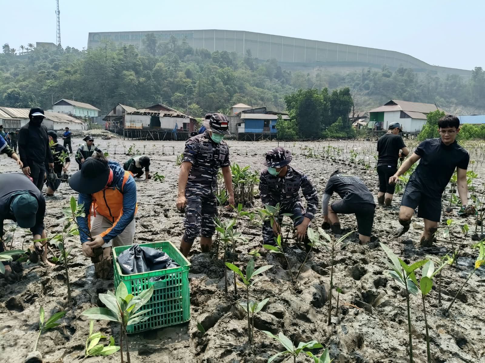 TNI AL Morowali Bersama PT IMIP Tanam Mangrove di Pantai Kurisa, Lanjut Bersihkan Sampah Pesisir