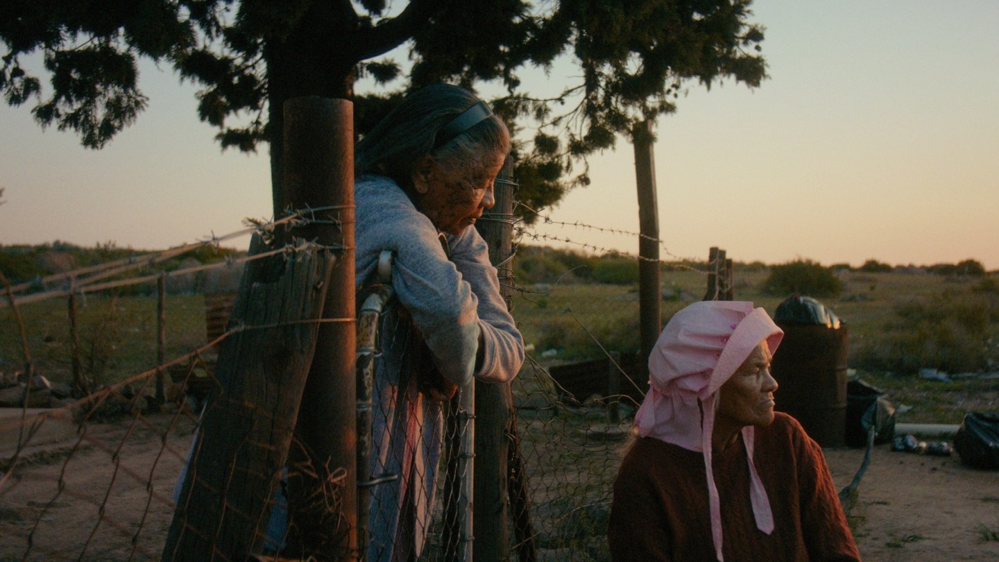 Film Afrika Selatan 