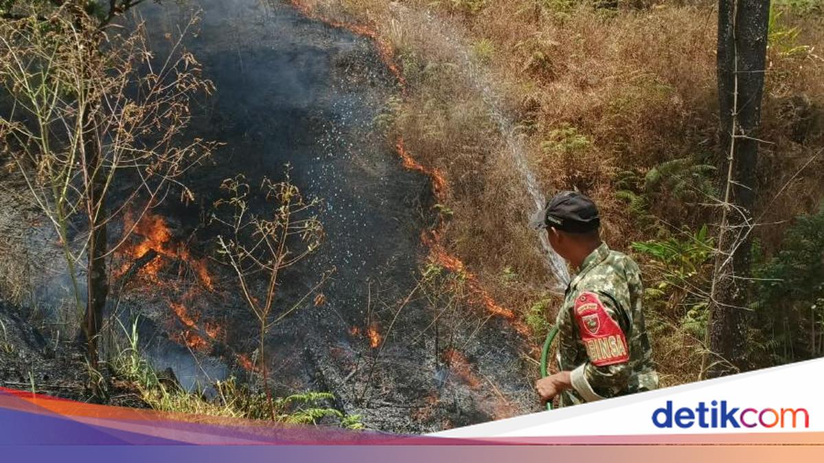 Kebakaran Hutan Pinus Malino Gowa Muncul di 2 Titik, Satu Titik Sudah Padam