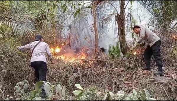 Kebakaran Hanguskan 5 Hektare Lahan Perkebunan di Cihara Lebak, Angin Kencang Persulit Pemadaman