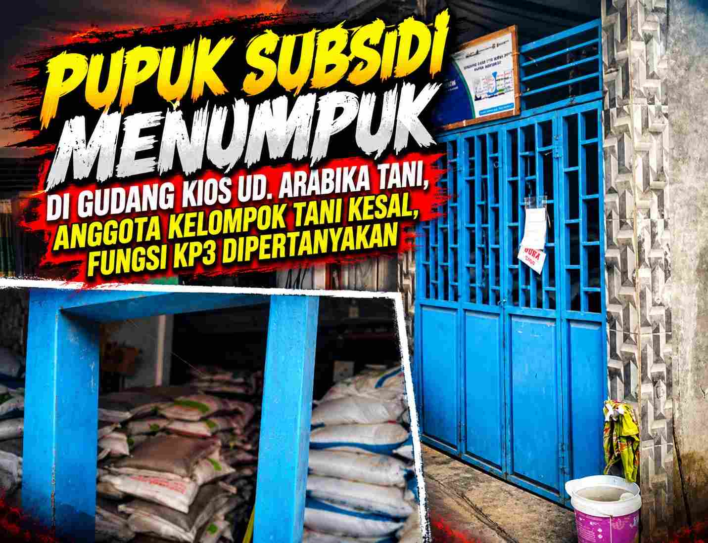 Pupuk Subsidi Menumpuk di Kios UD Arabika Tani Kerinci, Petani Desak Pengawasan KP3 Diperketat