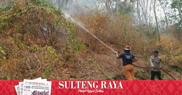Karhutla di Perbukitan Ulubongka Tojo Una-Una Hanguskan 5 Hektare Lahan Warga, Petugas Terkendala Medan Terjal