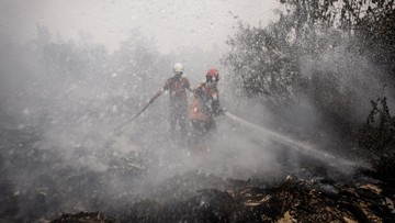WALHI Soroti Tanggung Jawab Lintas Sektor dalam Penanganan Karhutla