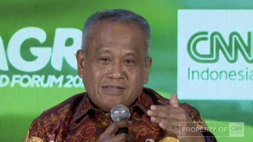 Wamentan Saleh Ungkap Impor Bawang Putih Melonjak karena Pengawasan Lemah