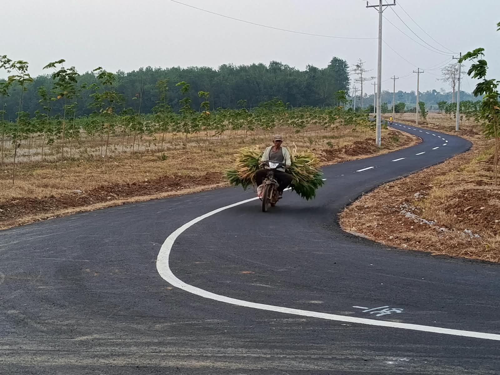 Bupati Jepara Resmikan Aspal Ruas Keling-Bumiharjo Sepanjang 1,75 Kilometer, Buka Akses Tambak dan Pantai di Jepara Utara