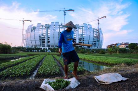 88 Kabupaten/Kota Jadi Prioritas Pengentasan Kemiskinan Lewat Pertanian