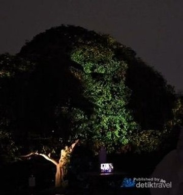 Pohon Dongeng Sesar Lembang Kalcer, Wisata Malam Edukatif di Bandung Barat