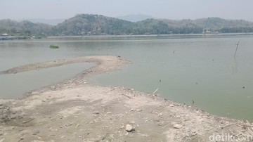 Rawa Jombor Klaten Surut Akibat Kemarau, Perahu Wisata Setop Operasi