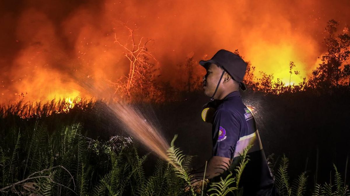 Karhutla Gunung Latimojong Enrekang Masuk Hari ke-7, Api Merambat ke Pos 4-6 Jalur Pendakian
