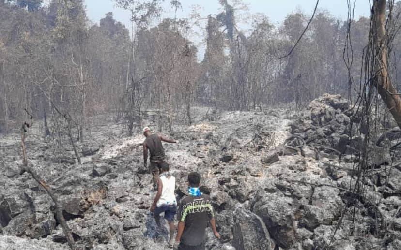 Kebakaran Hutan Landa Pulau Lou di Papua Nugini, Setengah Hutan Hangus dan Warga Bertahan dengan Sekop