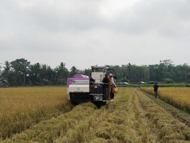 BI Bengkulu Serahkan Combine Harvester ke Petani Seluma, Kehilangan Gabah Turun dari 14 Persen jadi 4 Persen