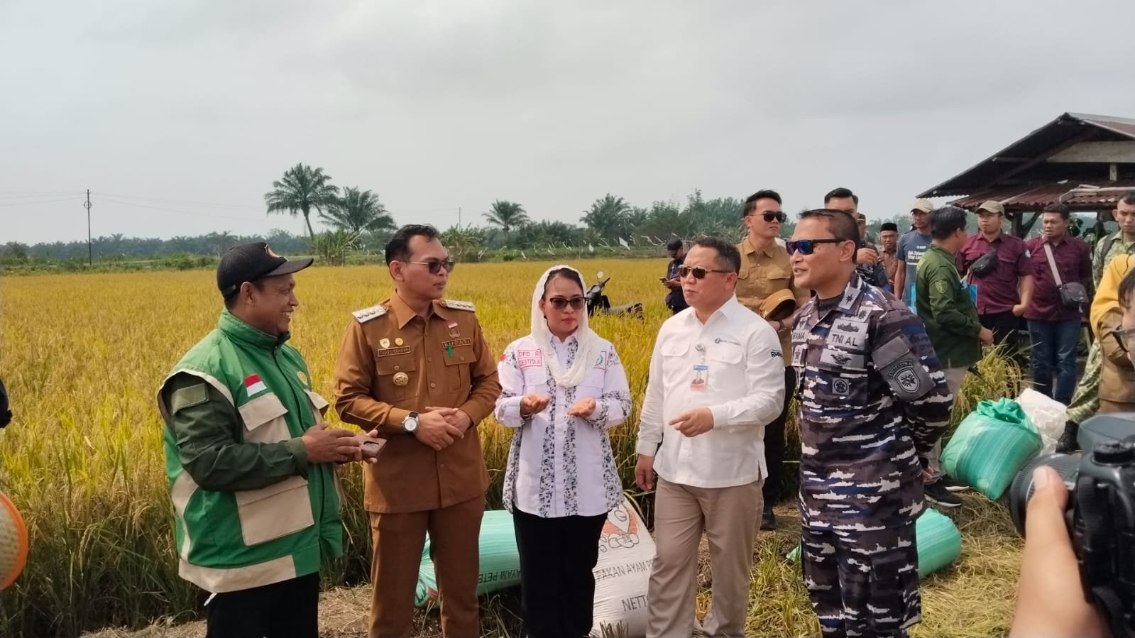 Panen Raya Padi di Seluma, BI Bengkulu Serahkan Combine Harvester ke Kelompok Tani Karya Mukti
