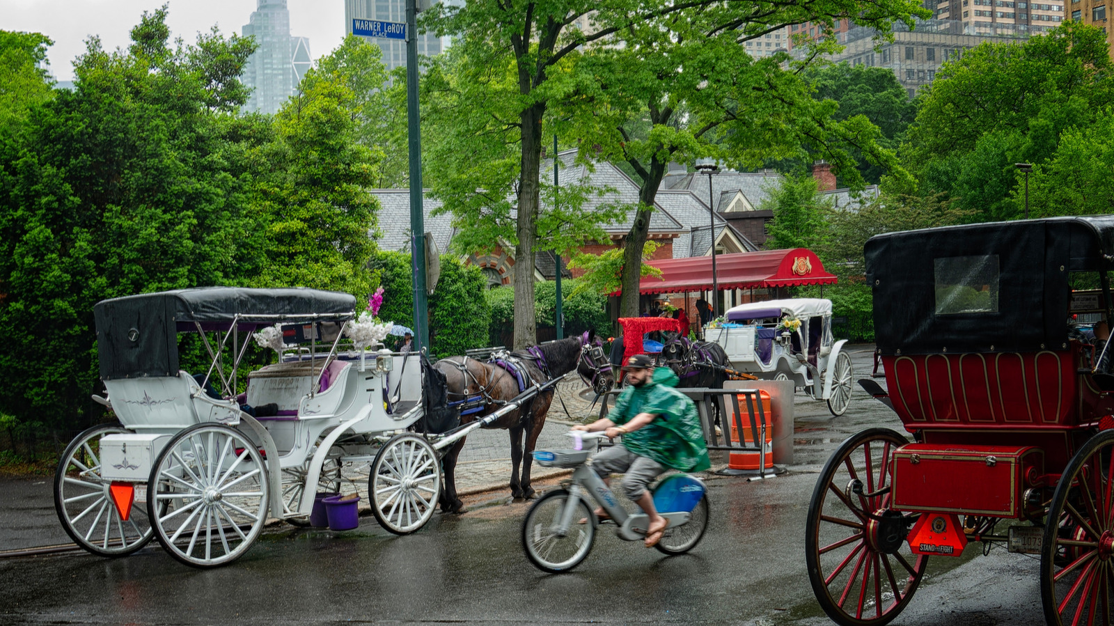 New York City Larang Kereta Kuda di Central Park, Voting 22 Oktober