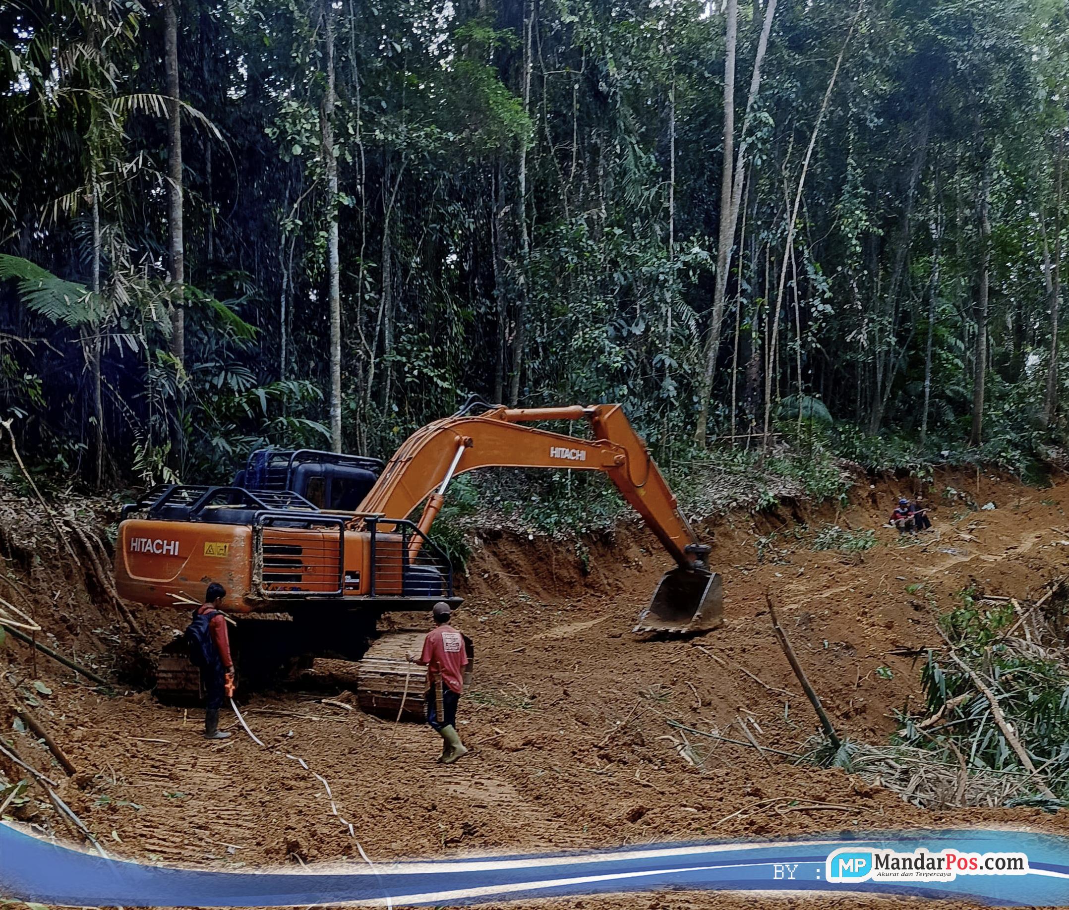Pemdes Bela Buka Jalan Tani di Tapalang, Petani Mamuju Tak Lagi Angkut Panen Lewat Jalur Sulit