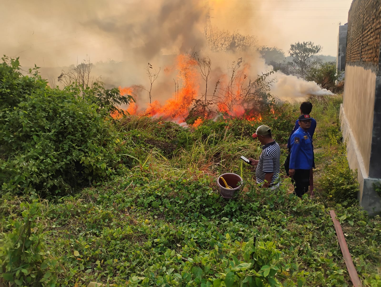 Api Lahap Lahan di Tiga Desa Kabupaten Tegal dalam Tujuh Jam, Petugas Damkar Berjibaku Sejak Siang