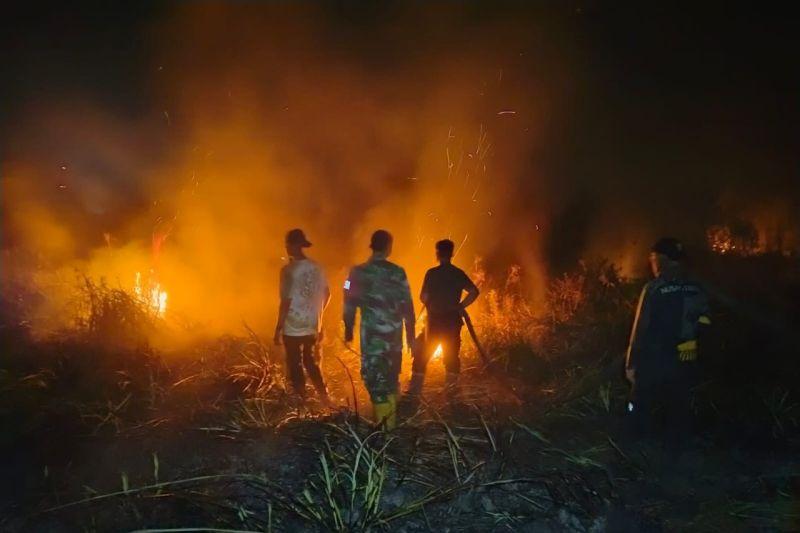 Dua Kebakaran Lahan di Sepaku PPU Hanguskan 6 Hektare, Penyebab Masih Ditelusuri