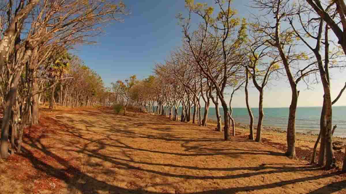 Pulau Gili Iyang Sumenep, Udara Terbersih Kedua Dunia dengan Oksigen Tertinggi