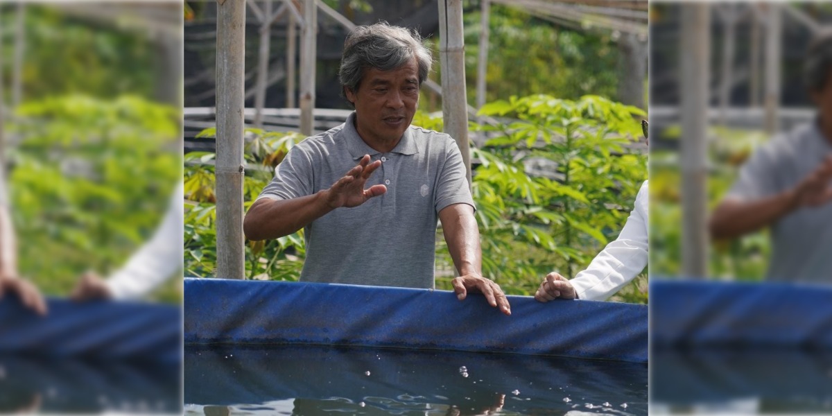 Pokdakan Ngupoyo Mino Sleman Kembangkan 355 Kolam Bioflok, Target Pasok Lele dan Patin di Jogja