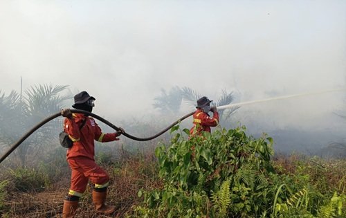 BMKG Catat 1.381 Titik Panas di Sumatra, 753 Hotspot Membara di Sumatera Selatan
