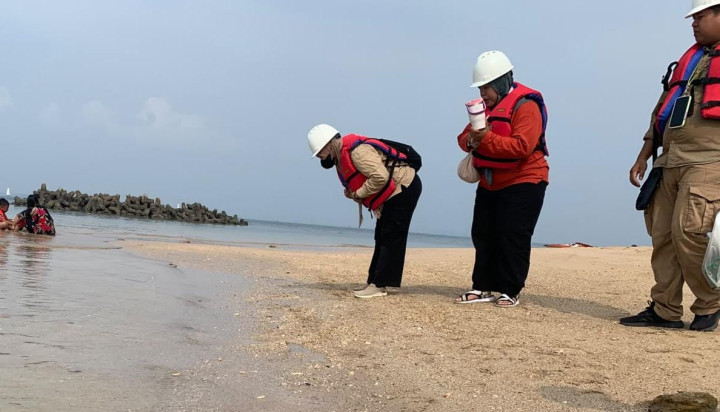 Pencemaran Minyak Kembali Muncul di Perairan Pulau Beras Basah Bontang, Hasil Lab Temukan Seng dan Timbal Melebihi Baku Mutu