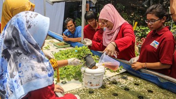 Pelatihan Hidroponik Gratis di Semarang Bekali Kelompok Rentan Keterampilan