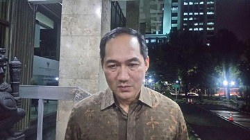 Lutfi Bantah Seruan Kucilkan RI, Sebut Perusahaan Malaysia Kuasai 3,4 Juta Ha Sawit