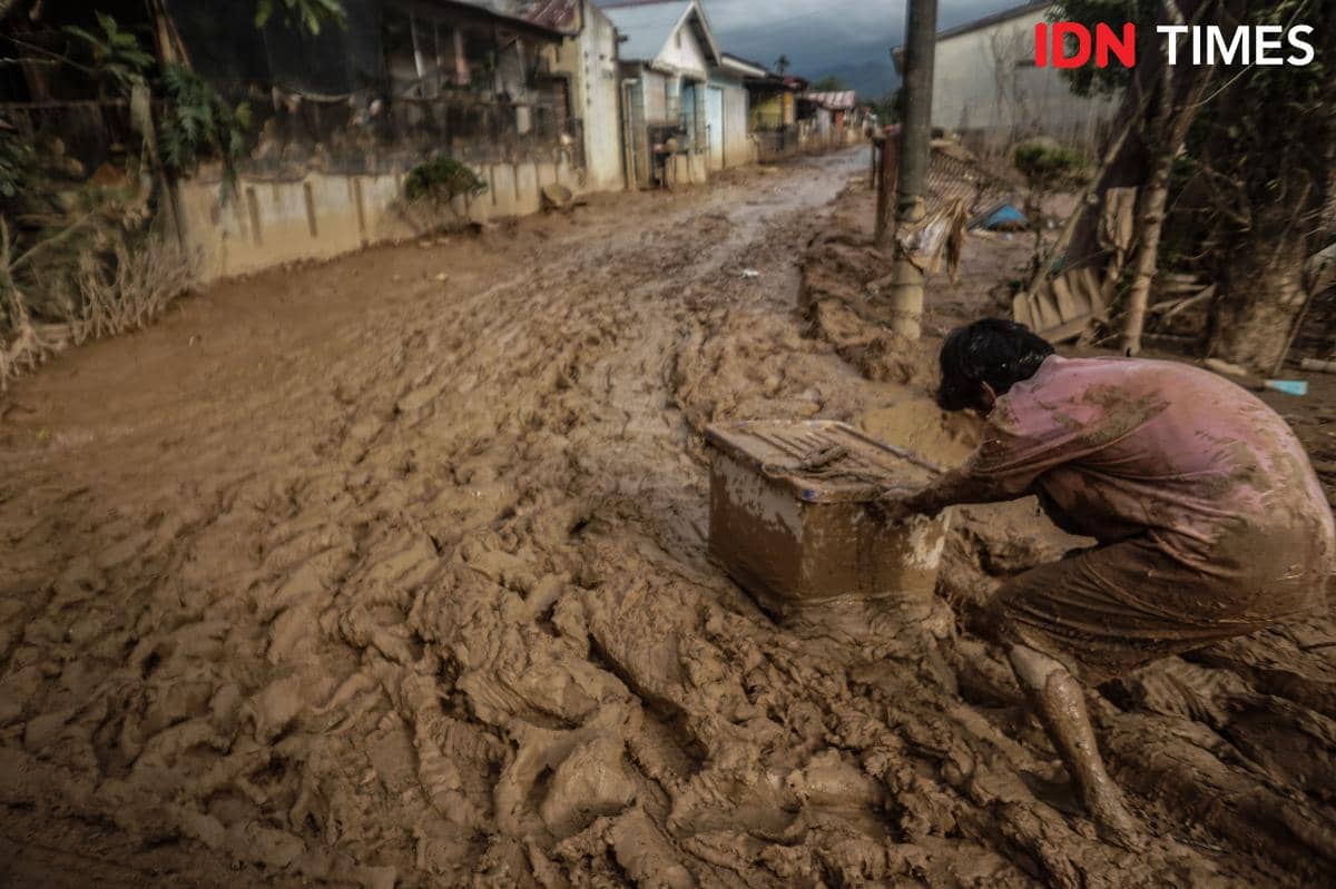 Banjir Sumatra dan Longsor Akhir 2025 Tewaskan 1.204 Orang, DAS Batang Toru Kehilangan 70 Ribu Hektare Hutan