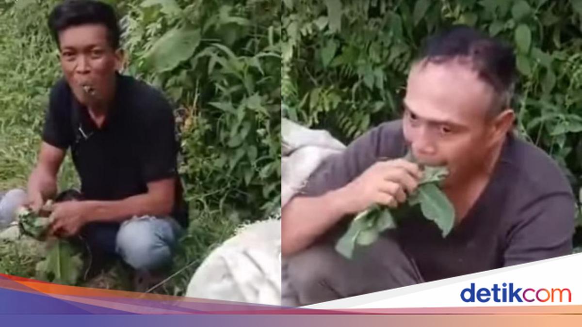 Dua Pria di Deli Serdang Kepergok Curi Daun Pepaya, Dihukum Warga Makan Hasil Curian