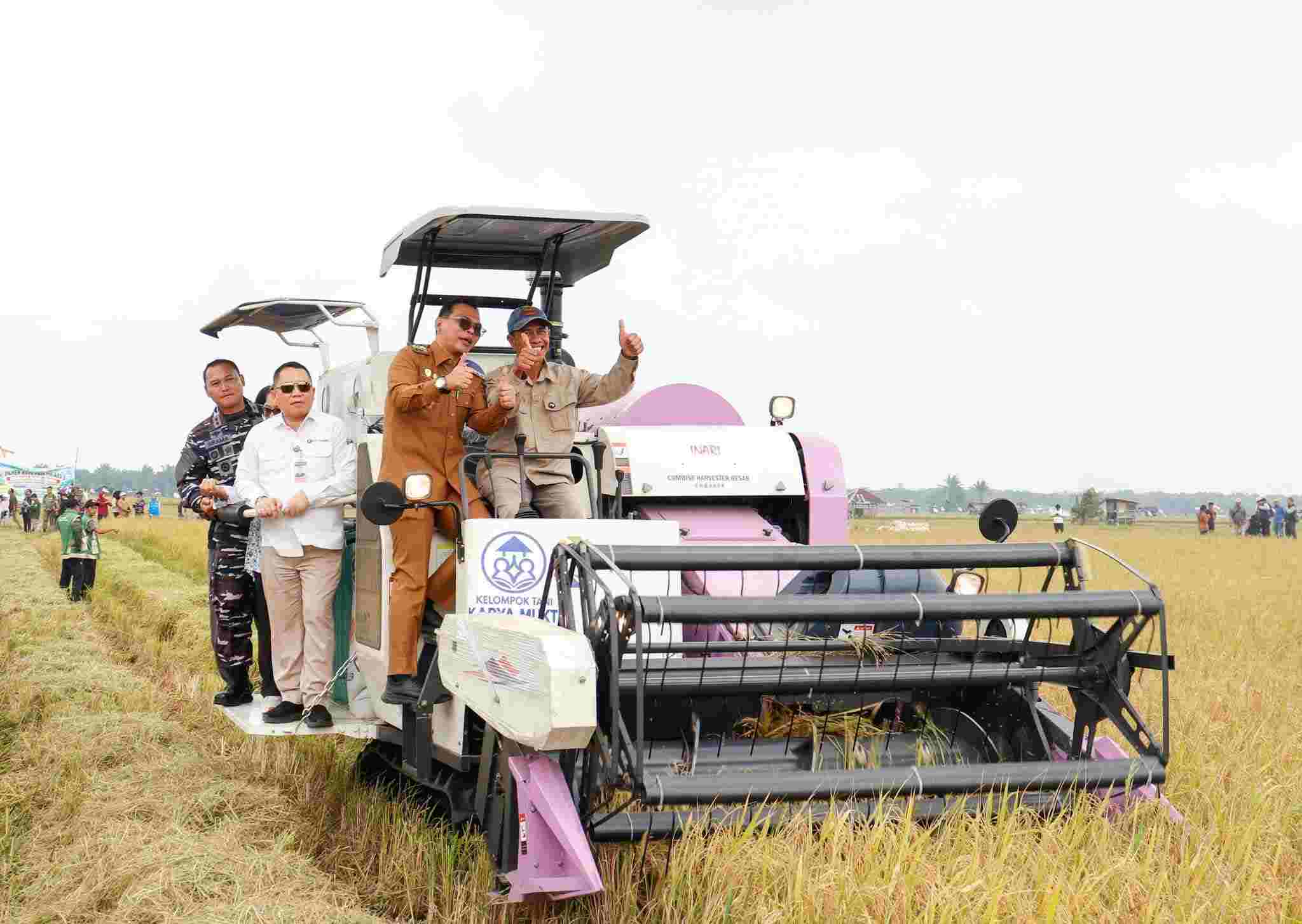 Bupati Seluma dan BI Serahkan Combine Harvester ke Petani Sari Mulyo Saat Panen Raya di Sukaraja