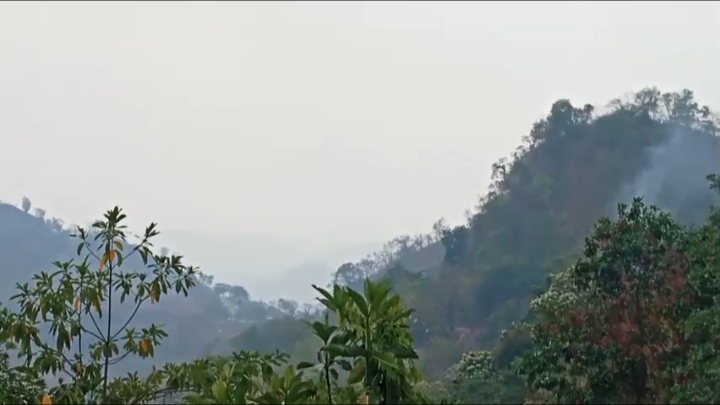 BMKG Bima Sebut Kabut Asap di Bima-Dompu dari Pembakaran Lahan Lokal, Jarak Pandang 5-6 Km