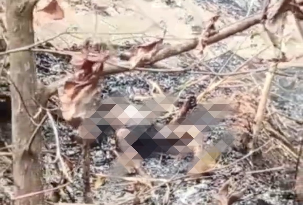 Petani Lansia di Culamega Tasikmalaya Tewas Terpanggang Saat Bersihkan Kebun, Jenazah Ditemukan Hangus 100 Persen