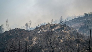 Bukit Lubang Kilat Lamandau Hangus Terbakar, Wisata Andalan Kalteng Kini Hitam