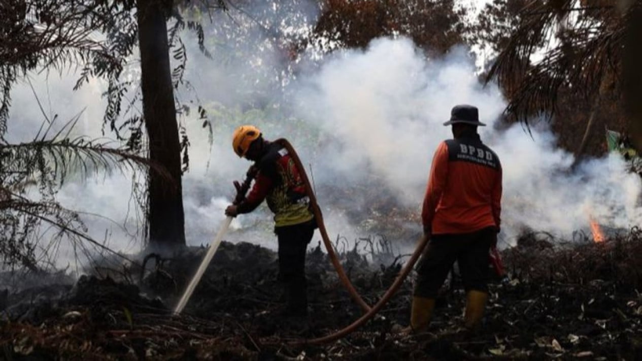 Karhutla dan Kabut Asap Landa Palembang, 80 Ribu Liter Air Bersih Disalurkan ke 10 Kelurahan di 5 Kecamatan