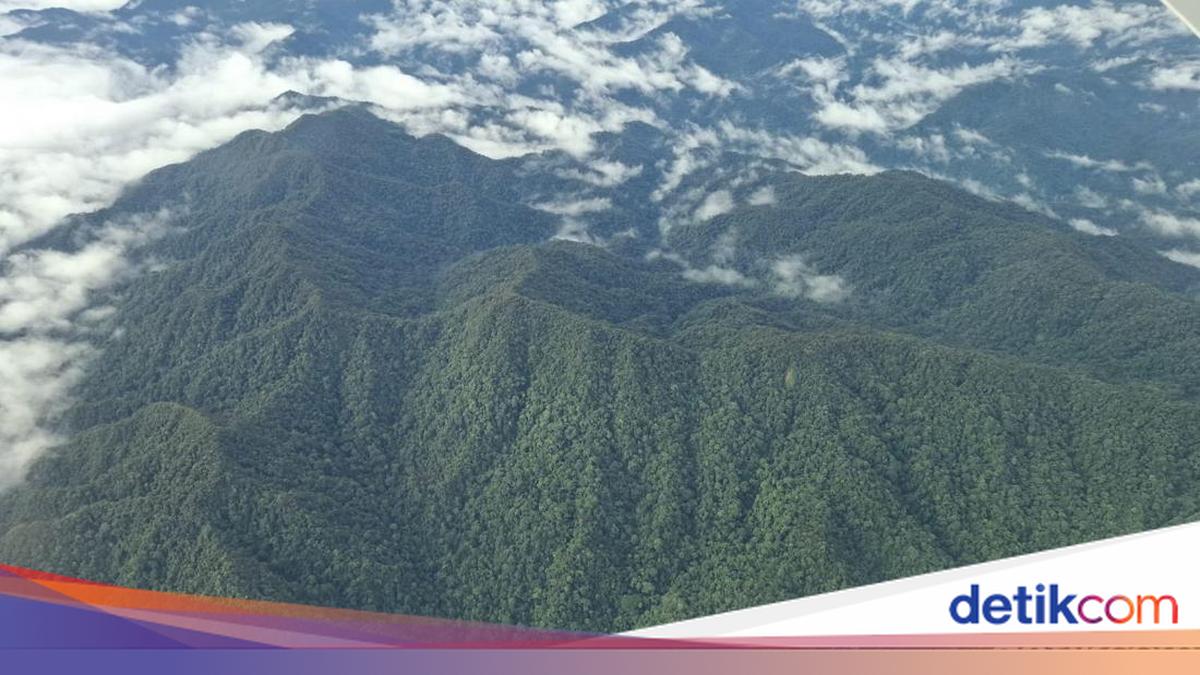 5 Fakta Menarik Kalimantan Utara yang Jarang Diketahui