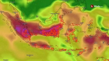 Meta Diminta Transparan soal Dugaan Penghapusan Konten Karhutla di Indonesia