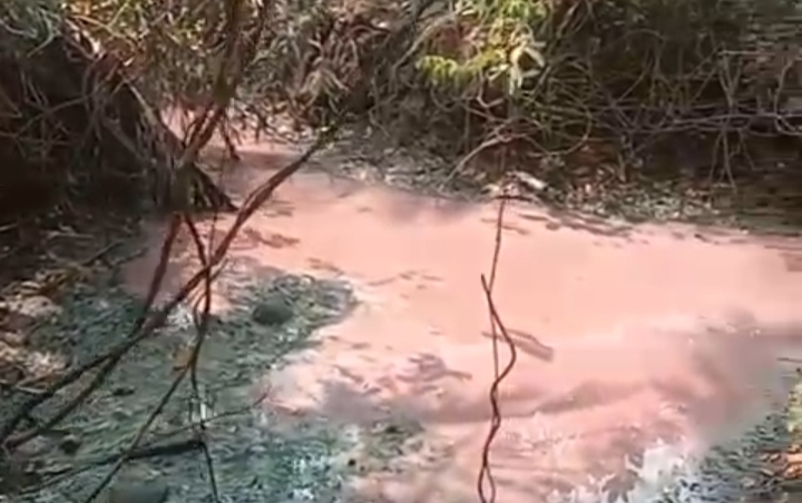Warga Bolmut Keluhkan Limbah SPPG Boroko Diduga Dibuang ke Pinggir Sungai, Air Berubah Merah dan Bau Busuk
