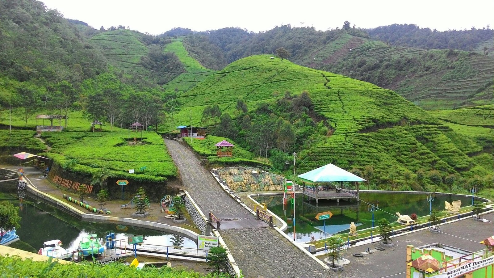 7 Wisata Favorit di Brebes, dari Kebun Teh Kaligua hingga Ranto Canyon