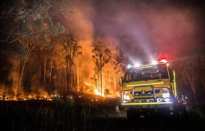 Kebakaran Hutan Lereng Gunung Sumbing di Magelang Belum Padam, 79,3 Hektare Lahan Hangus