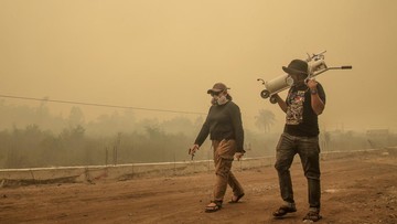 Kabut Asap Ancam Kumbang Penyerbuk, Produksi Minyak Sawit Indonesia Tertekan