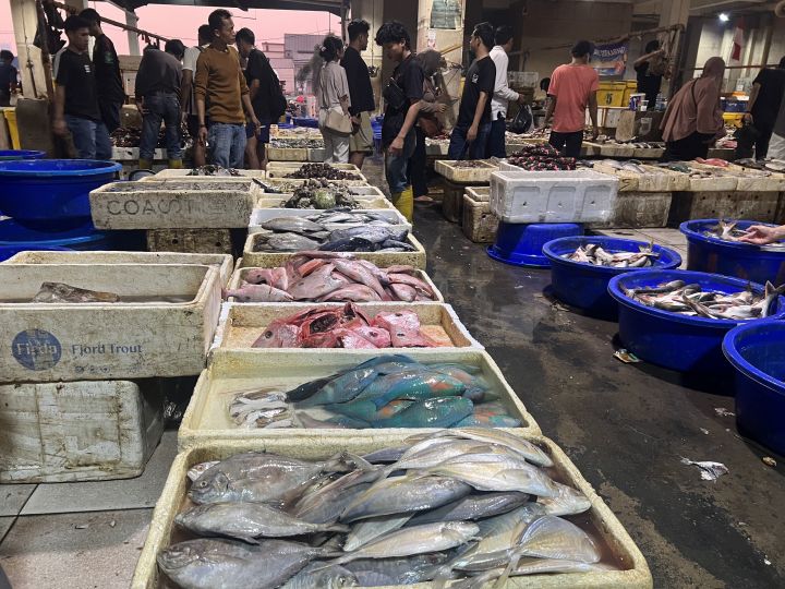 KKP Pulihkan 29.781 Pelaku Usaha Perikanan Aceh, Panen Perdana Udang Vaname di Pidie Jaya Jadi Penanda