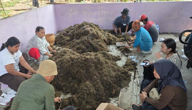 Pemkab Tangerang Gandeng BRIN Riset Padi Sawah di Mekar Jaya Sepatan, Petani Ditarget Hemat Pupuk 15-30 Persen