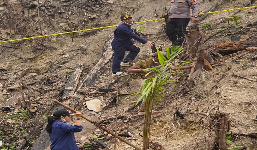 Temuan Sawit Ilegal di Hutan Bukit Lantak Dharmasraya, Legislator Sumbar Desak Usut Aktor Intelektual